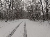Snow