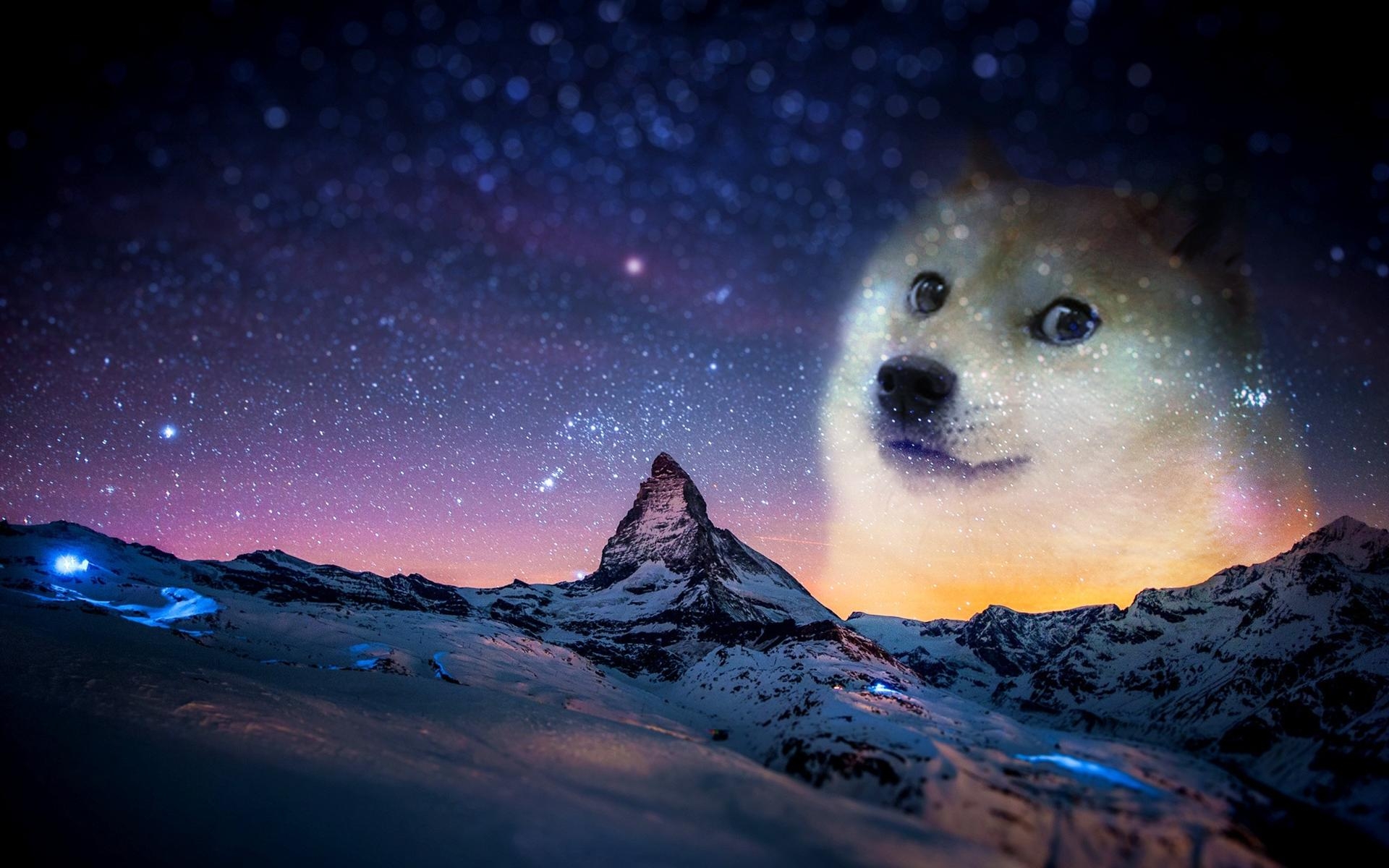 doge