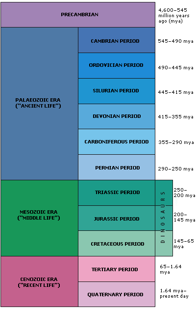 Chart of Dinosaur Ages
