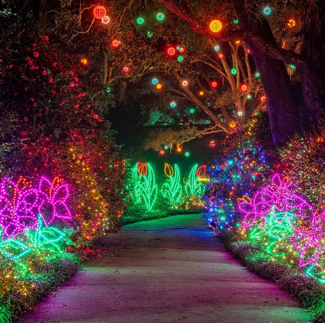Christmas Lights