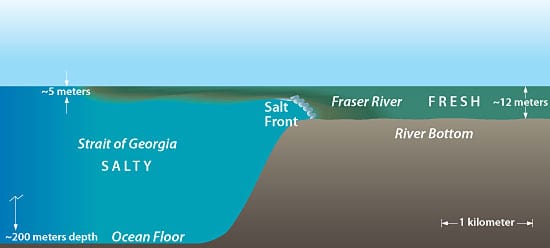 Picture of freshwater meeting saltwater