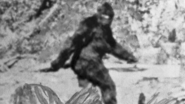 My bigfoot.