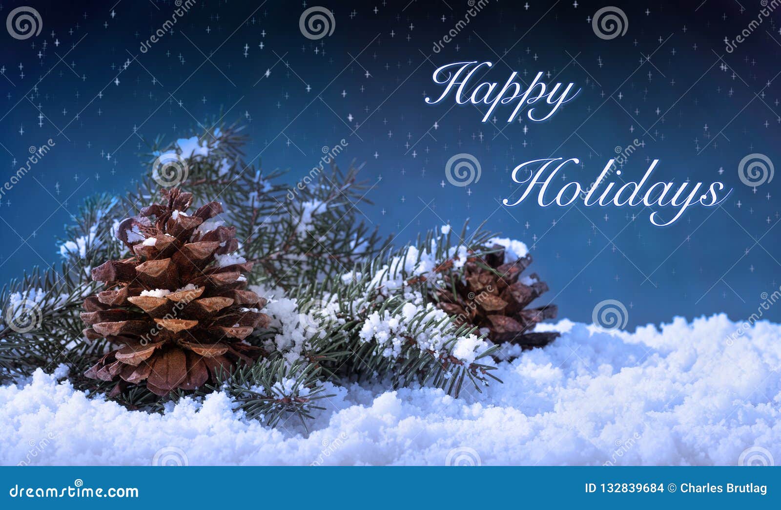 Holiday Celebration