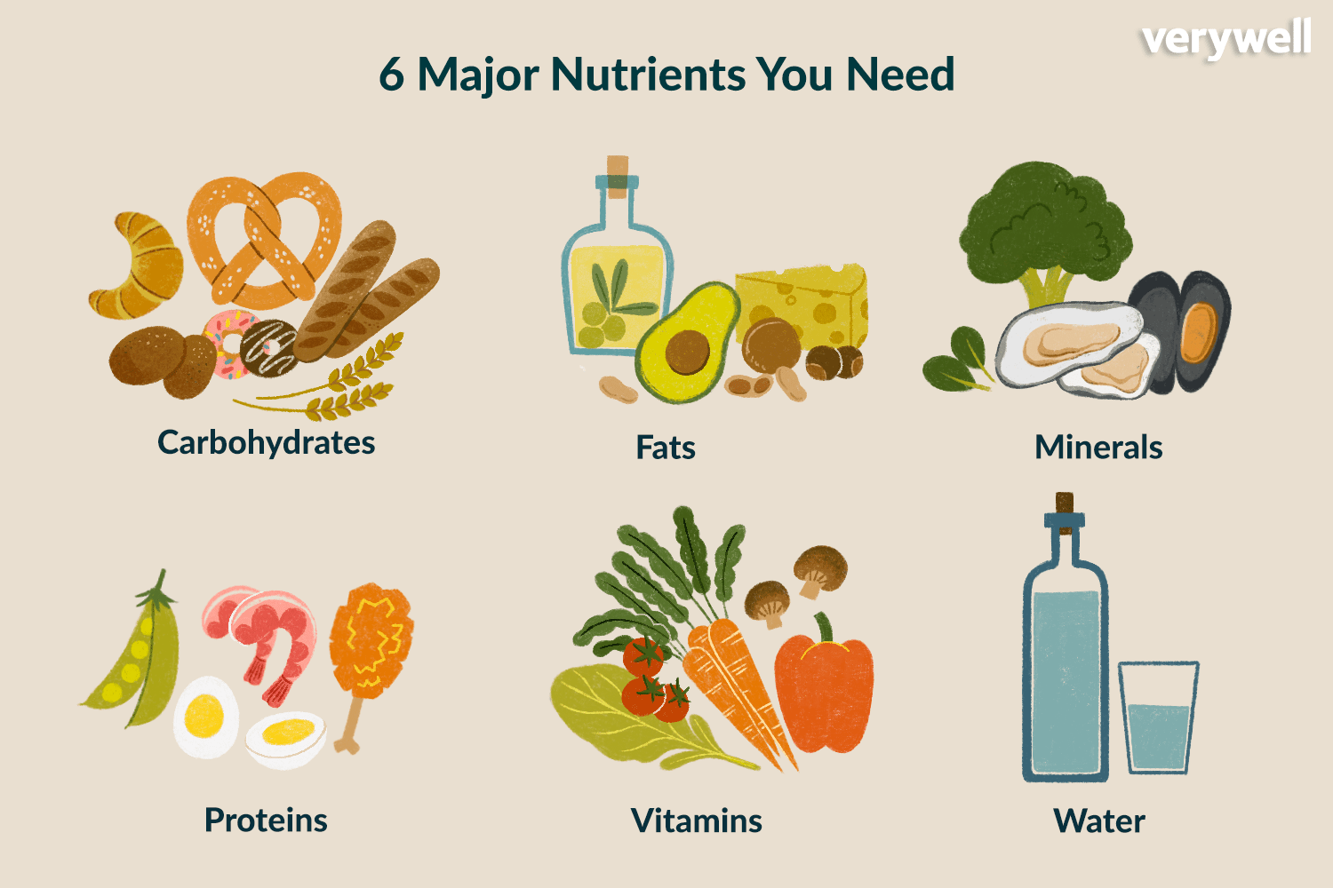 food nutrients image