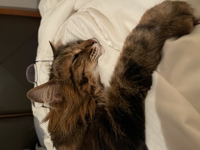 Fluffy