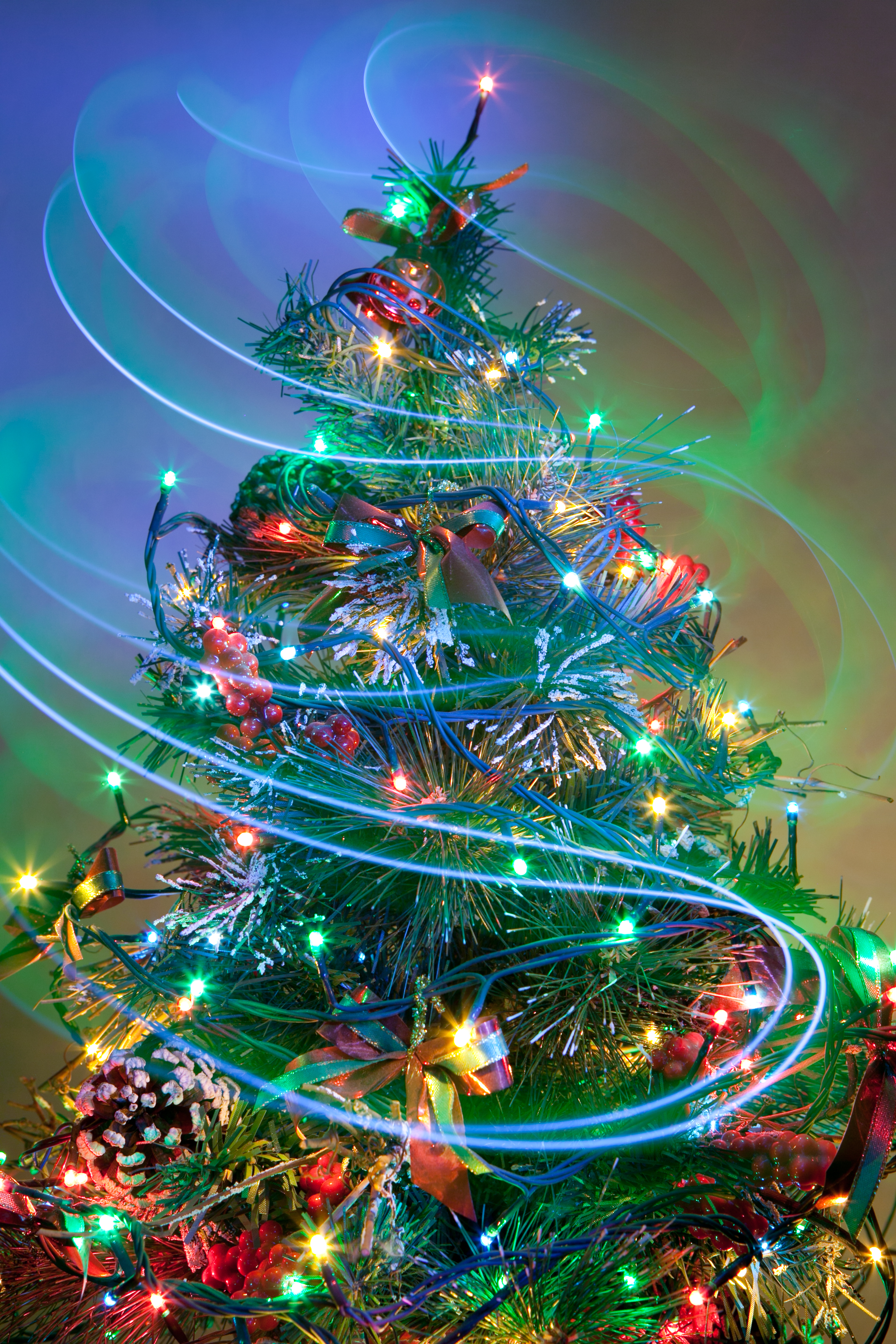Christmas Tree
