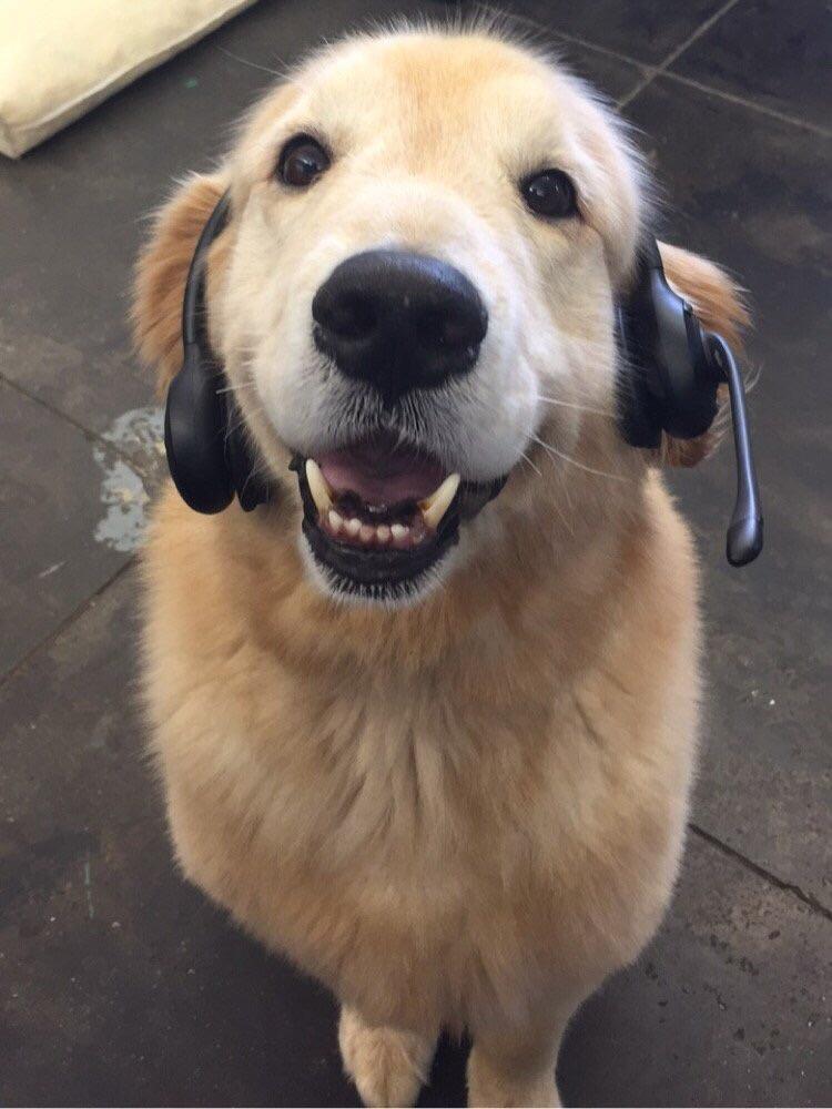 Customer Support