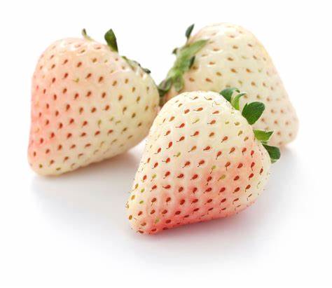 strawberry image